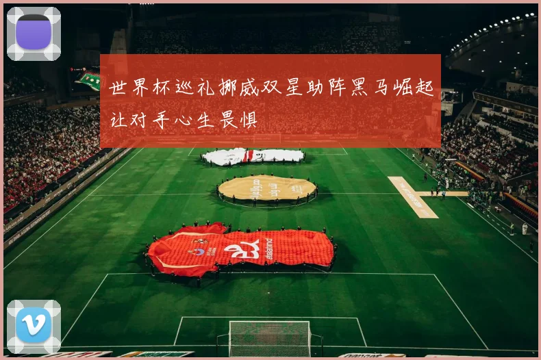世界杯巡礼挪威双星助阵黑马崛起让对手心生畏惧